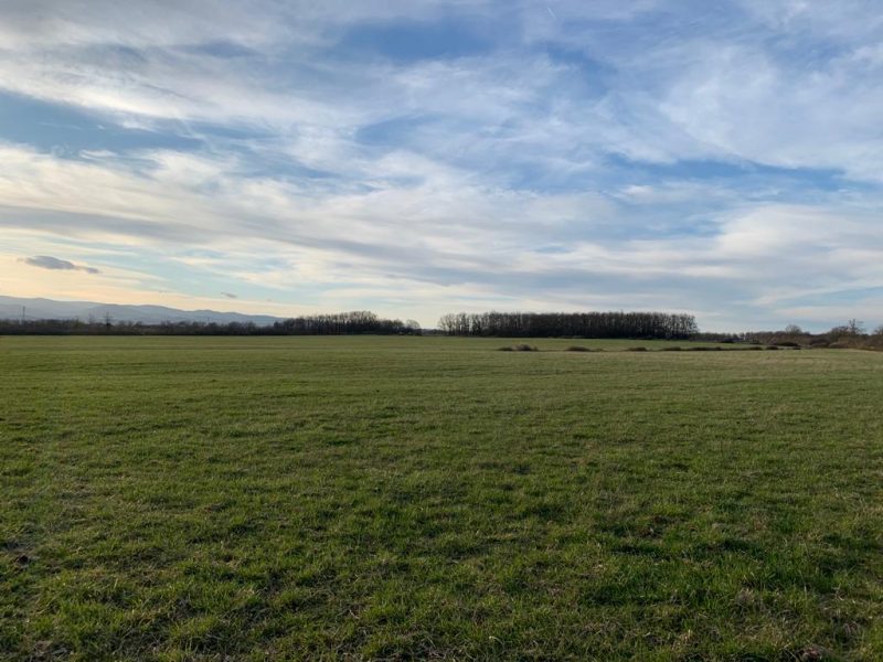 grande prairie