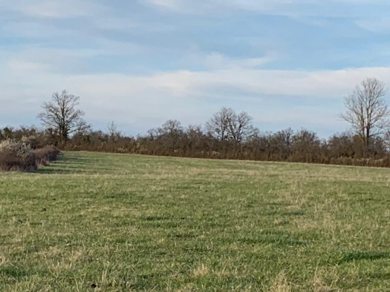 prairie et bosquet 3